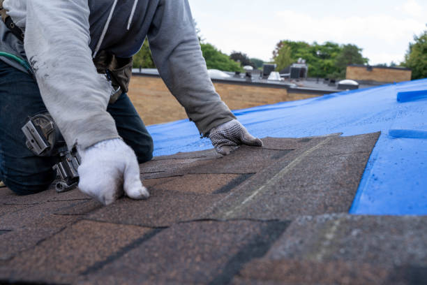 Roof Waterproofing Services in Holly Springs, GA